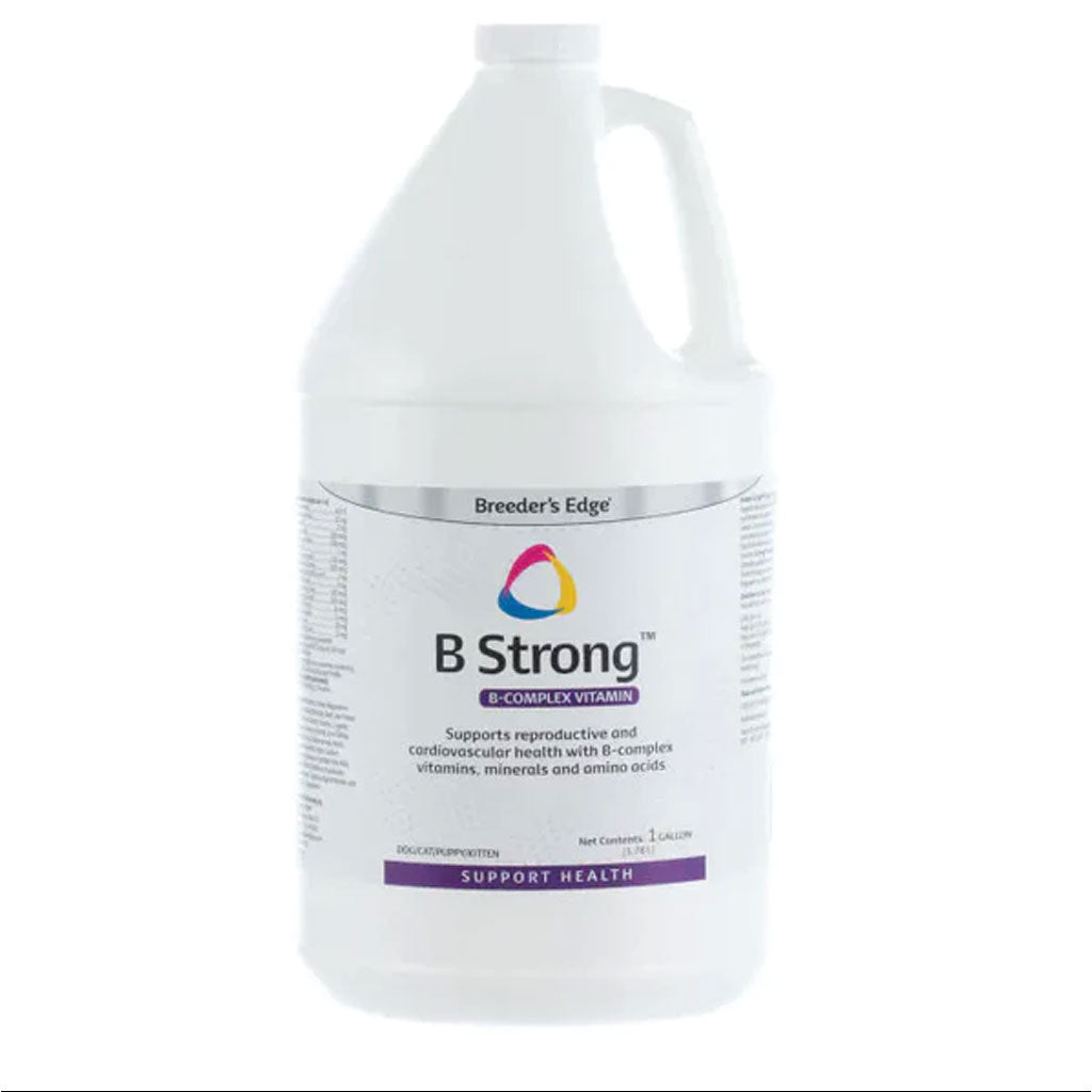 Breeder's Edge B Strong Liquid for Dogs & Cats