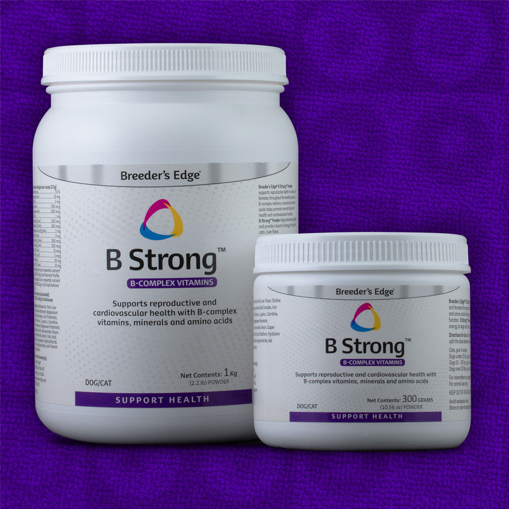 Breeder's Edge B Strong Powder for Dogs & Cats