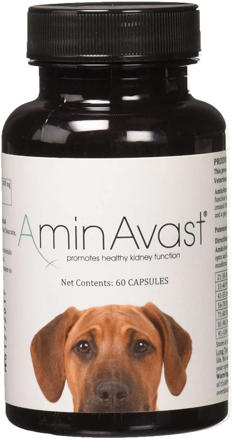 AminAvast Kidney Support for Dogs (60 capsules)